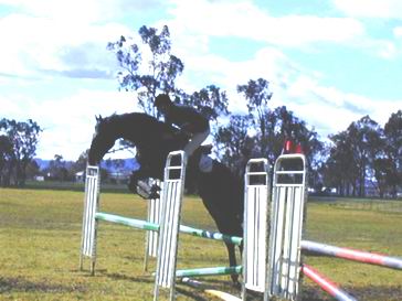 Mein Klute jumping